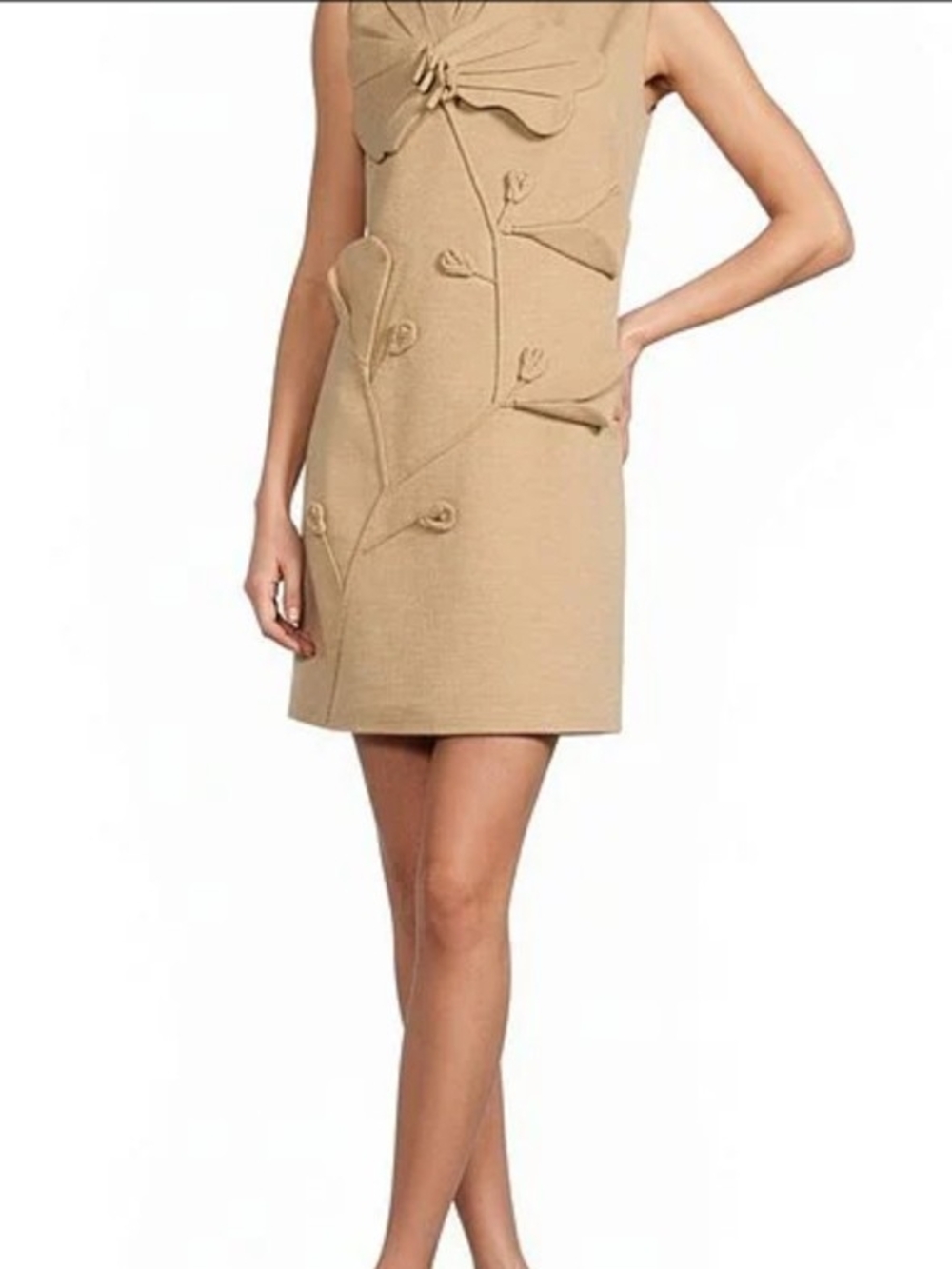 Women's Beige Embellished Shift Dress